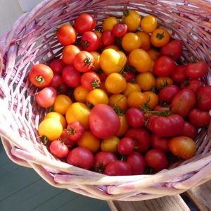 Meet your Posher, Amy